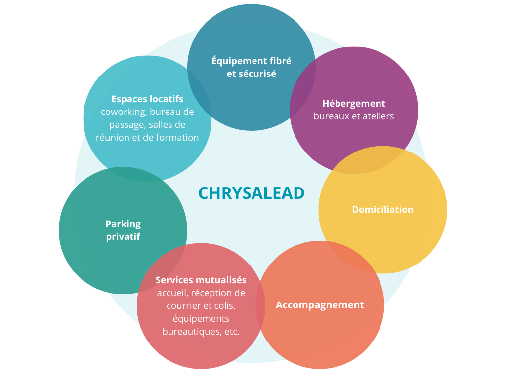 Services Chrysalead