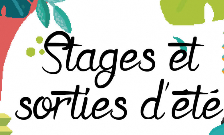 Stages été 2020