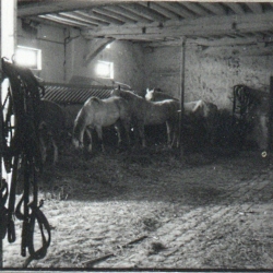 Intérieur des bâtiments agricoles entre 1975 et 1976 © Trappes