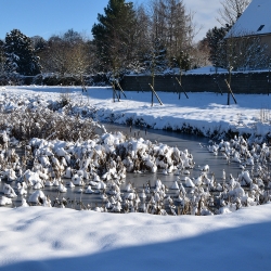 La mare sous la neige, février 2018  © Trappes, J-L. Viaud